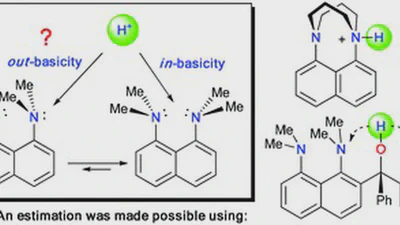 Out-Basicity of 1,8-bis(dimethylamino)naphthalene: The experimental and theoretical challenge featured image