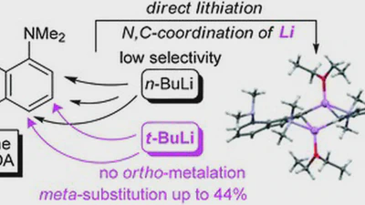 Ring lithiation of 1,8-bis(dimethylamino)naphthalene: another side of the „proton sponge coin” featured image