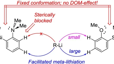 Sterically facilitated meta-lithiation of arenes, containing electron donating groups featured image