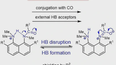 How strong is hydrogen bonding to the amide nitrogen? featured image