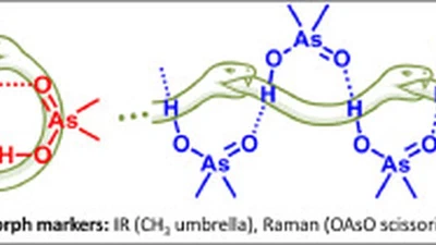 Solid-State and Solution-State Self-Association of Dimethylarsinic Acid: IR, NMR and Theoretical Study featured image