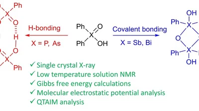 Self-association of diphenylpnictoginic acids in solution and solid state: covalent vs. hydrogen bonding featured image