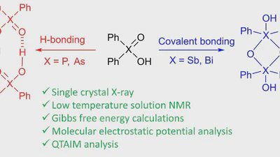 Self-association of diphenylpnictoginic acids in solution and solid state: covalent vs. hydrogen bonding featured image