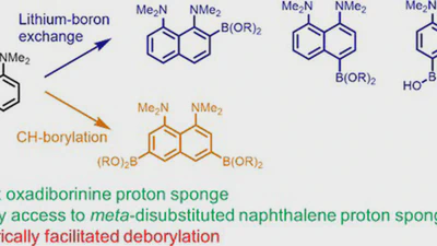 Organoboron Derivatives of 1,8-Bis(dimethylamino)naphthalene: Synthesis, Structure, Stability, and Reactivity featured image