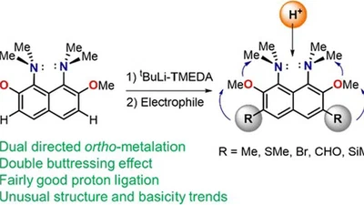 Organometallic Synthesis of 2,3,6,7-Tetrasubstituted 1,8-Bis(dimethylamino)naphthalenes for Investigation of the Double Buttressing Effect in Proton Sponges featured image