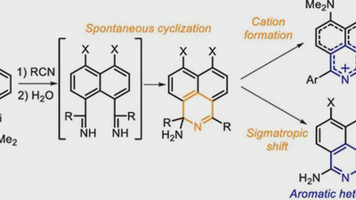 Spontaneous Cyclization of peri-Diiminonaphthalenes Leading to the Formation of Benzo[de]isoquinolines and Stable Benzo[de]isoquinoliniums featured image