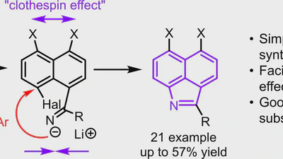 Transition-Metal-Free Synthesis of 2-Substituted Benzo[cd]Indoles via the Reaction of 1-Halo-8-lithionaphthalenes with Nitriles featured image