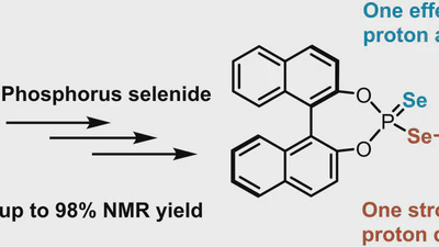 Chiral Diselenophosphoric Acids for Ion Pair Catalysis: A Novel Approach to Enhance Both Proton Donating and Proton Accepting Properties featured image