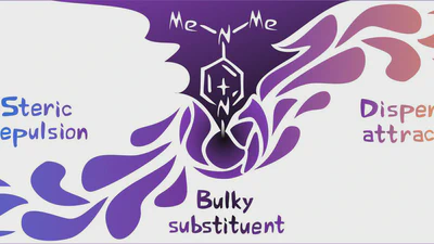 Flipping the Metalation of 4-Dimethylaminopyridine: Steric Repulsion versus London Dispersion Attraction featured image