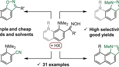 A Precise Synthetic Toolbox: H-Bond-Assisted Quadruple Reactivity of o-Dimethylaminoaryloximes featured image