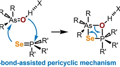 Hydrogen-bond-assisted Chalcogen Transfer Between Phosphine Selenides and Arsine Oxides featured image