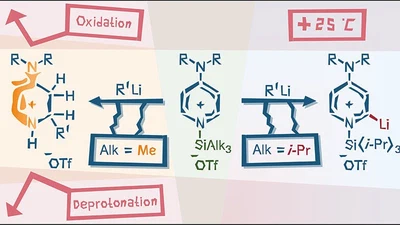 Breaking the Aromaticity Trap: N-Silylation-Induced Formation of Stable 2,3-Dihydro-4-dialkylaminopyridin-1-iums featured image